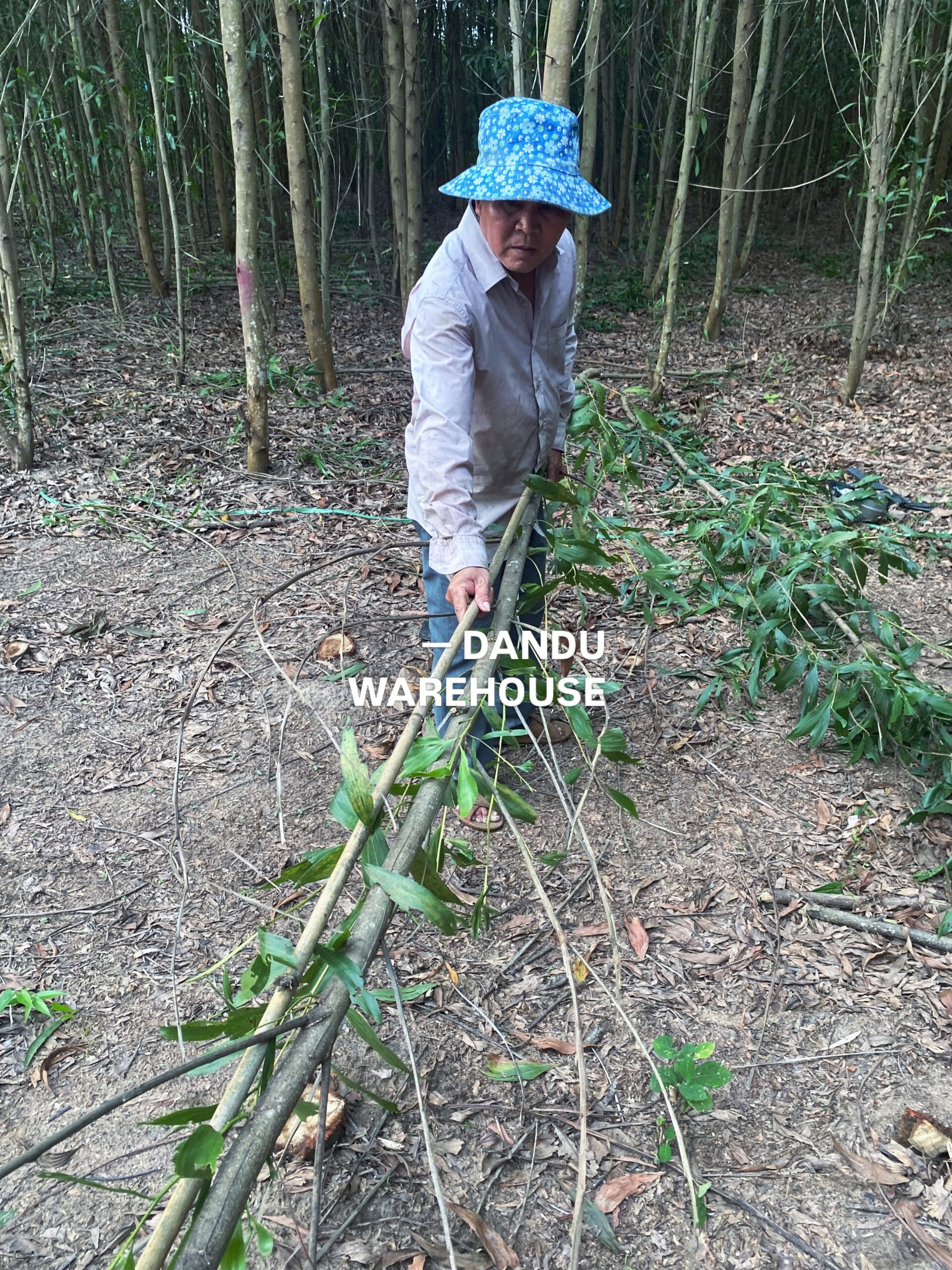 Dandu Warehouse development