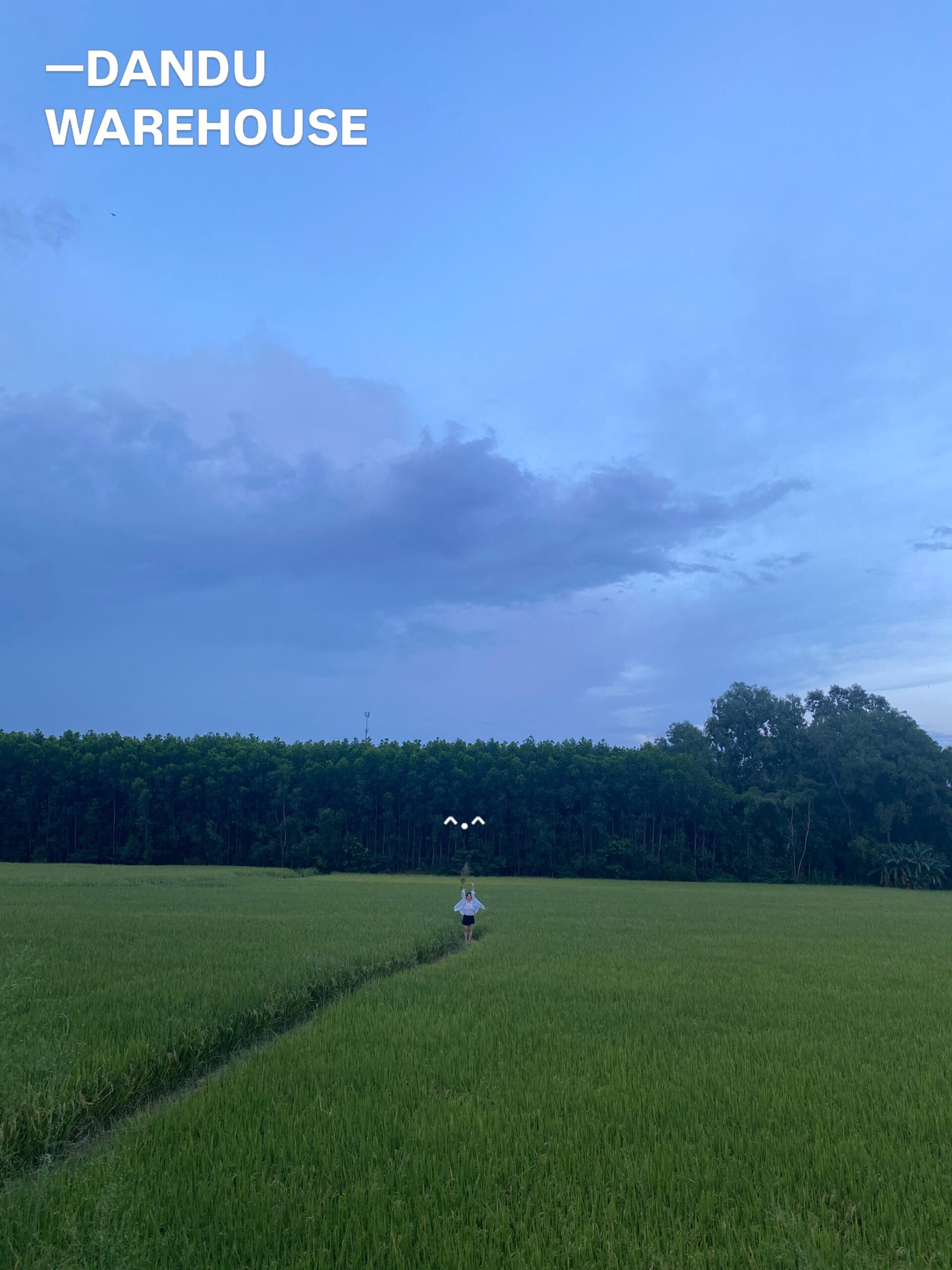Nature at Dandu Warehouse